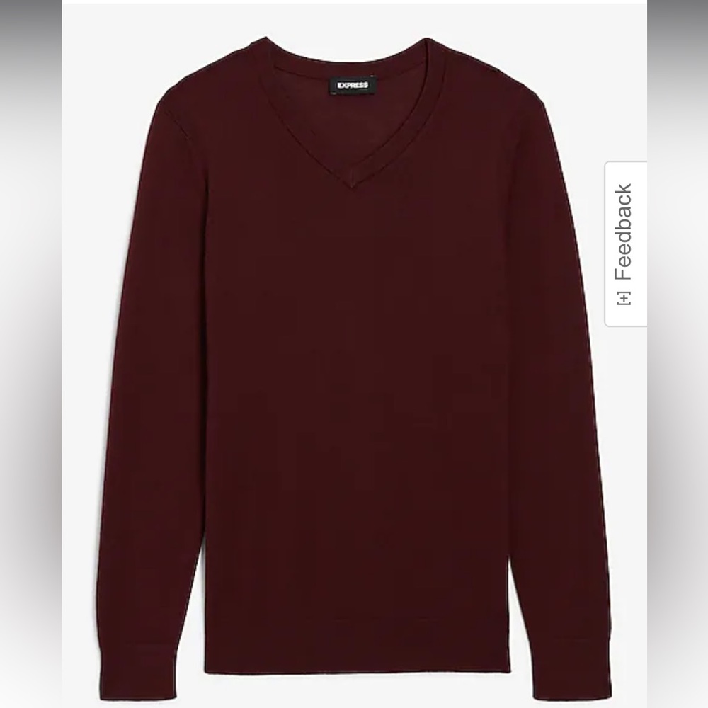 Express Solid Merino Wool V-Neck Sweater